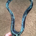 clutch3 marble